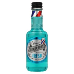 BEARDBURYS Fresh 100ml, szampon odświeżający